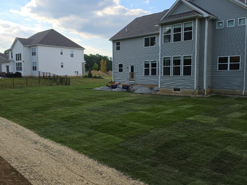 Large new-construction backyard with freshly laid sod