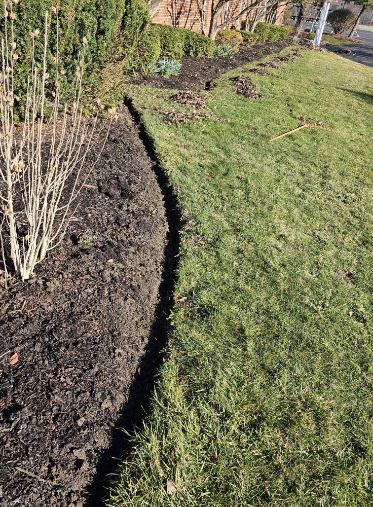 Crisp hand-cut bed edge separating dark mulch from a green lawn