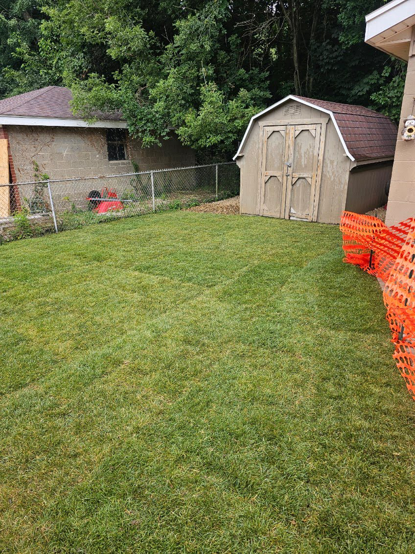 Freshly installed sod lawn in a fenced backyard